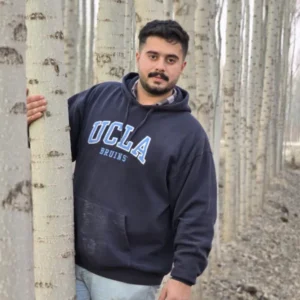 کاشت نهال صنوبر 