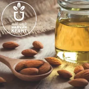 بادام بخورید، قند خونتان را کنترل کنید! (روش طبیعی مقابله با دیابت)