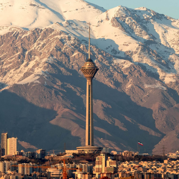 خرید نهال در تهران