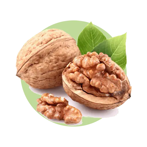 نهال گردو