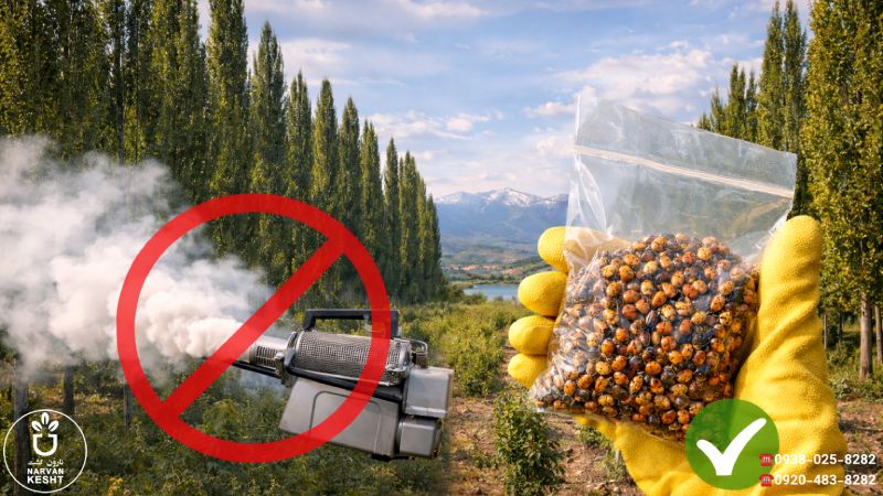 مبارزه با آفات بدون استفاده از بمب شیمیایی!