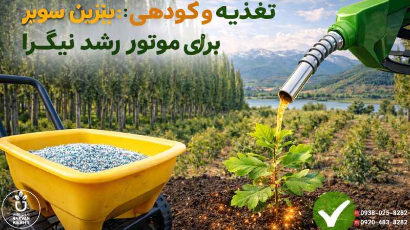 تغذیه و کودهی؛ بنزین سوپر برای موتور رشد نیگرا