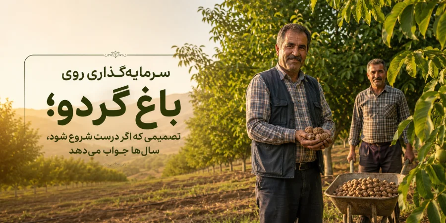 سرمایه‌گذاری روی باغ گردو