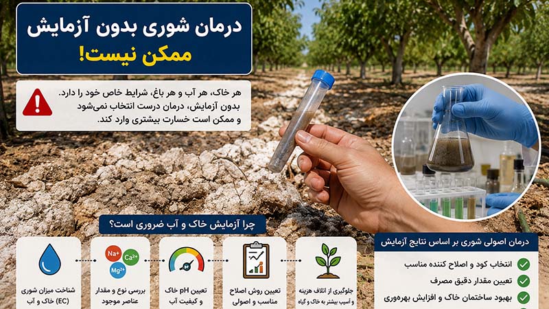 درمان شوری بدون آزمایش ممکن نیست