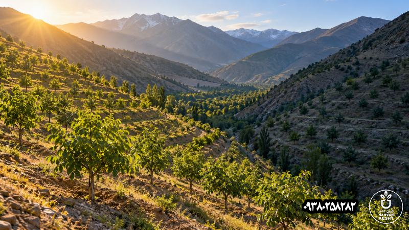 جهت دامنه را هم کنار ارتفاع بررسی کن