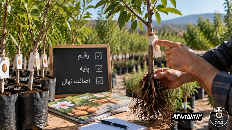 پرسیدن نام رقم و فراموش کردن پایه و اصالت نهال
