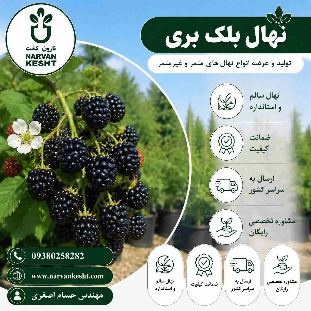 نهال بلک بری