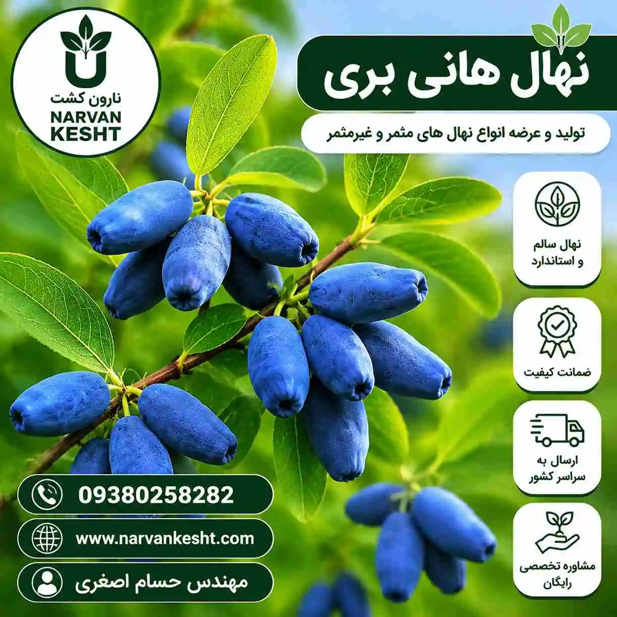 نهال هانی بری